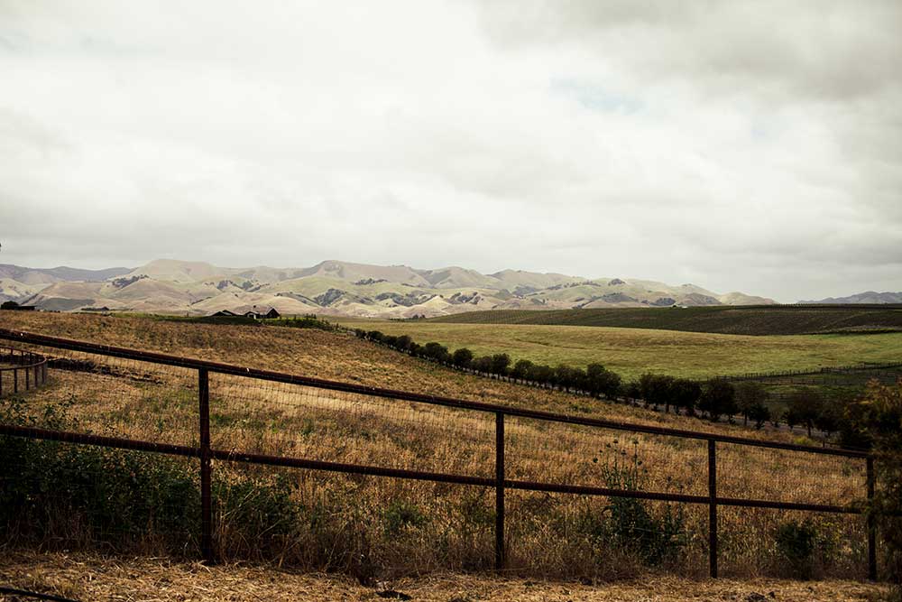 the_land the_land