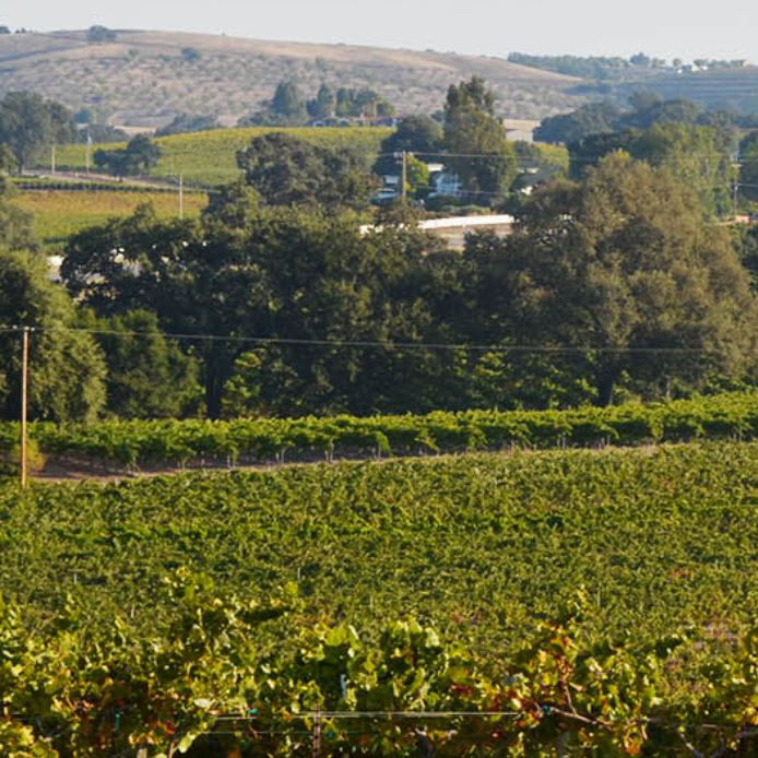winery winery